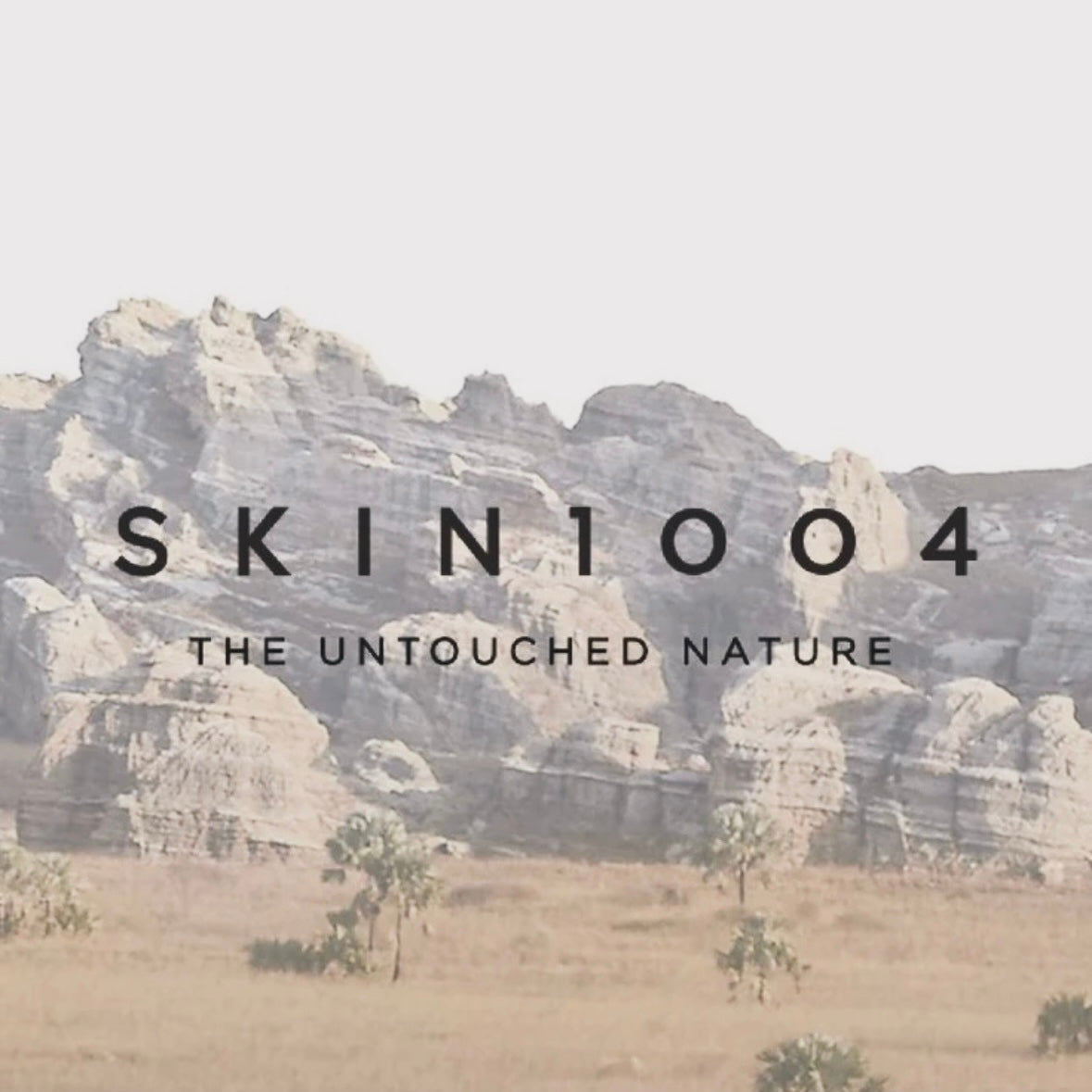 Skin1004