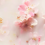 Rituals of Sakura Mini Gift Set