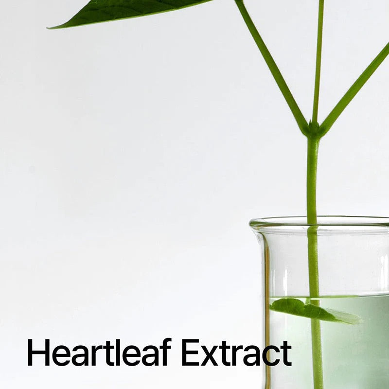 ANUA Heartleaf Pore Cleansing Oil