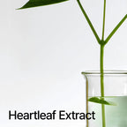 ANUA Heartleaf Pore Cleansing Oil